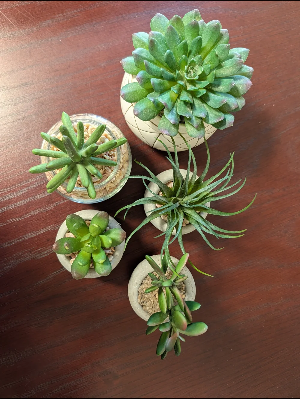 Modern Faux Green Succulent Arrangement in Neutral Planters - Home Accents